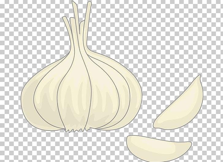 Garlic Drawing Onion PNG, Clipart, Balloon Cartoon, Boy Cartoon, Cartoon Character, Cartoon Cloud, Cartoon Couple Free PNG Download