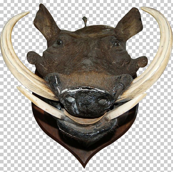 Wild Boar Common Warthog Boar's Tusk Helmet Skull PNG, Clipart, Animal, Animals, Boar, Boar Hunting, Boars Tusk Helmet Free PNG Download