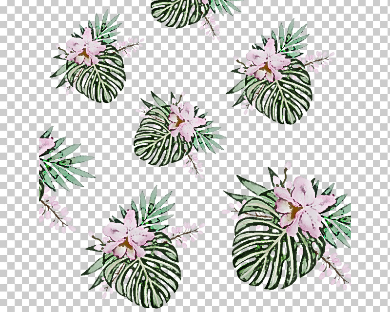 Plant Flower Pattern Wildflower PNG, Clipart, Flower, Plant, Wildflower Free PNG Download