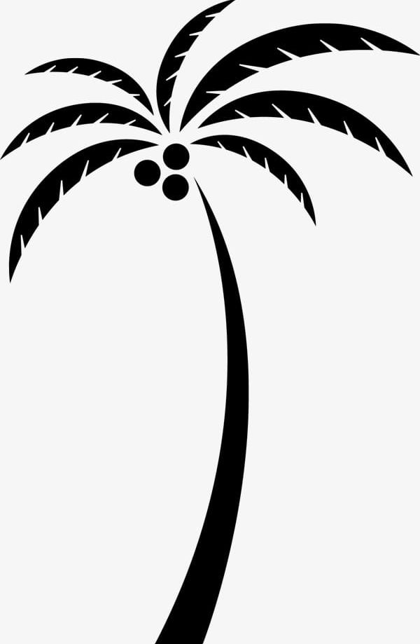 Coconut Tree Silhouette PNG, Clipart, Background, Black, Black Silhouette, Coconut, Coconut Clipart Free PNG Download