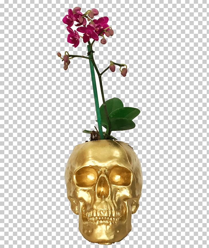 Moth Orchids Vase Metal PNG, Clipart, Artifact, Flower, Flowering Plant, Flowerpot, Flowers Free PNG Download