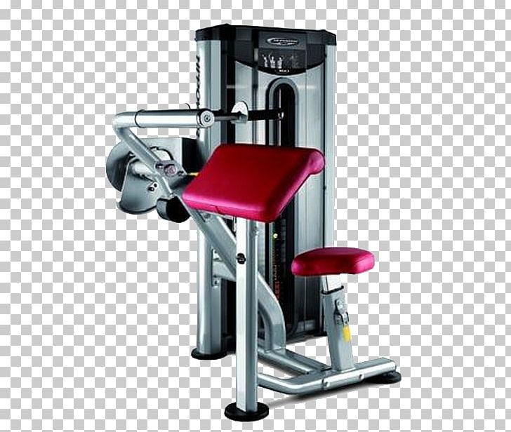 Triceps Brachii Muscle Bench Pulldown Exercise Biceps Weight Training PNG, Clipart, Bench, Bench Press, Biceps, Biceps Curl, Dip Free PNG Download