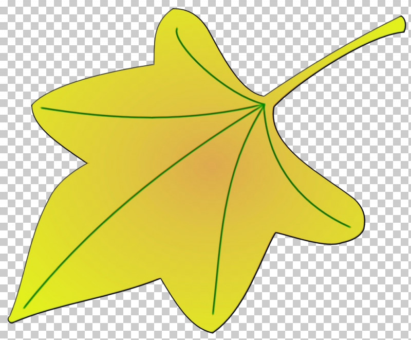 Plant Stem Leaf Flower Yellow Tree PNG, Clipart, Biology, Flower, Fruit, Geometry, Leaf Free PNG Download