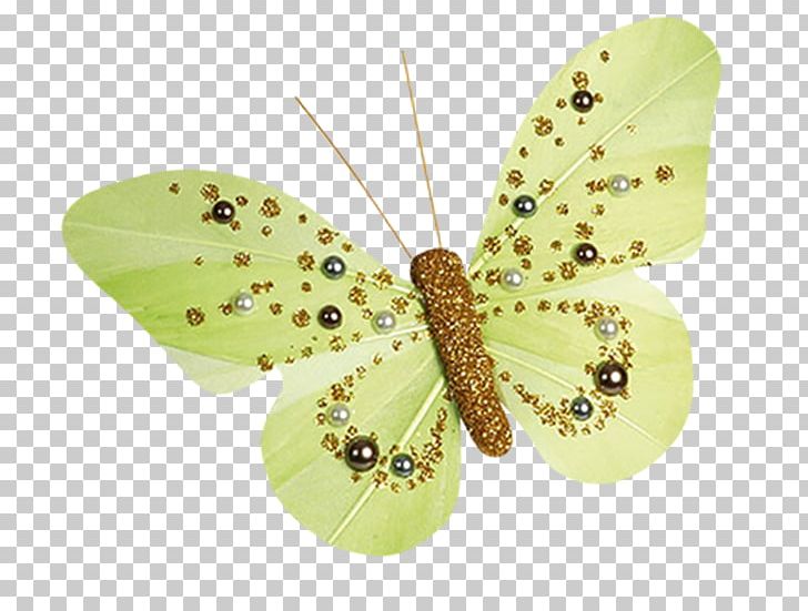 Table Butterflies And Moths Marriage Scrapbooking Party PNG, Clipart, Animal, Arthropod, Butterflies, Butterfly Group, Butterfly Wings Free PNG Download