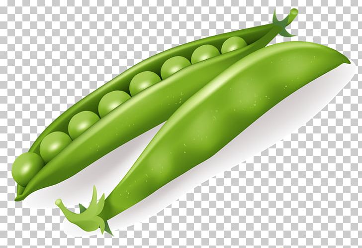 Leaf Vegetable Pea PNG, Clipart, Bean, Bell Pepper, Broad Bean, Chili Pepper, Commodity Free PNG Download