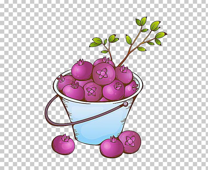 Purple Mangosteen Fruit PNG, Clipart, Bamboo, Bamboo Border, Bamboo Frame, Bamboo Leaves, Bamboo Tree Free PNG Download