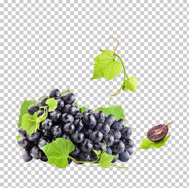 Juice Common Grape Vine Berry Concord Grape PNG, Clipart, Bilberry, Black Grape, Blueberry, Food, Fruit Free PNG Download