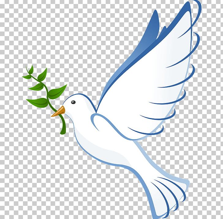 Peace Dove PNG, Clipart, Miscellaneous, Symbols Free PNG Download