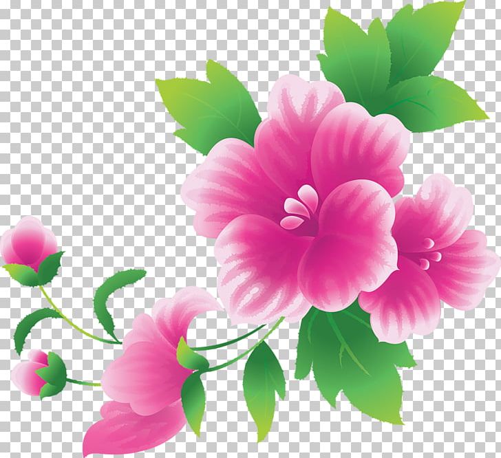 Pink Flowers PNG, Clipart, Annual Plant, Color, Drawing, Floral Design, Flower Free PNG Download