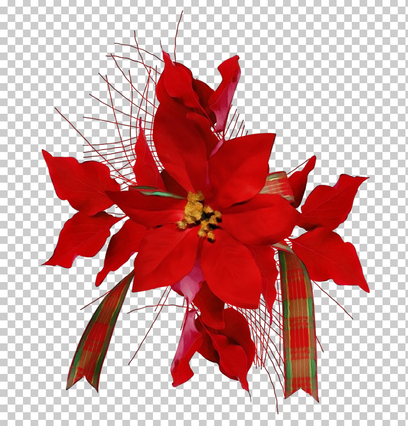 Christmas Decoration PNG, Clipart, Christmas Decoration, Cut Flowers, Flower, Paint, Petal Free PNG Download