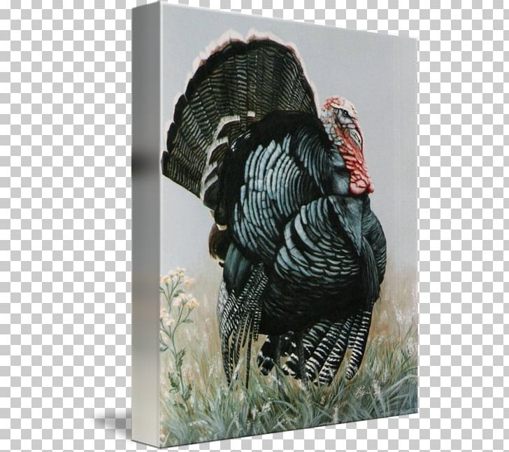 Gallery Wrap Canvas Painting Art Domesticated Turkey PNG, Clipart, Art, Beak, Canvas, Domesticated Turkey, Domestication Free PNG Download