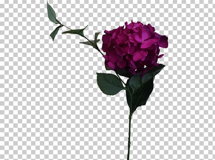 Garden Roses Cabbage Rose Cut Flowers Floral Design PNG, Clipart, Branch, Cut Flowers, Flora, Floral Design, Flower Free PNG Download