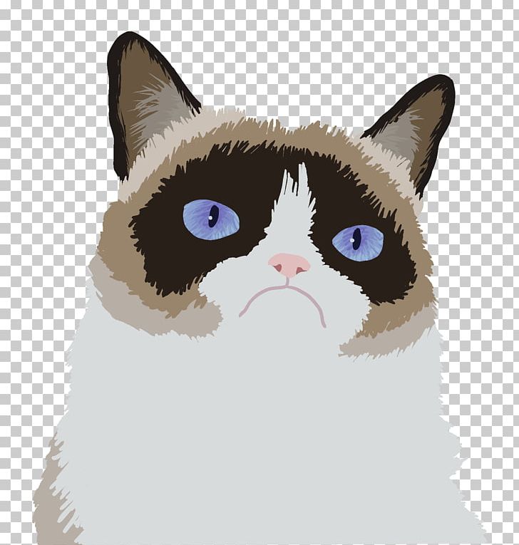 Grumpy Cat Cat Food Himalayan Cat Art PNG, Clipart, American Wirehair, Animals, Animation, Architect, Carnivoran Free PNG Download