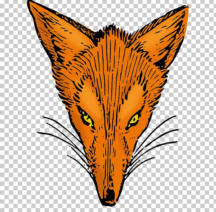 Red Fox Whiskers PNG, Clipart, Animal, Animals, Brer Fox And Brer Bear, Carnivoran, Cat Free PNG Download