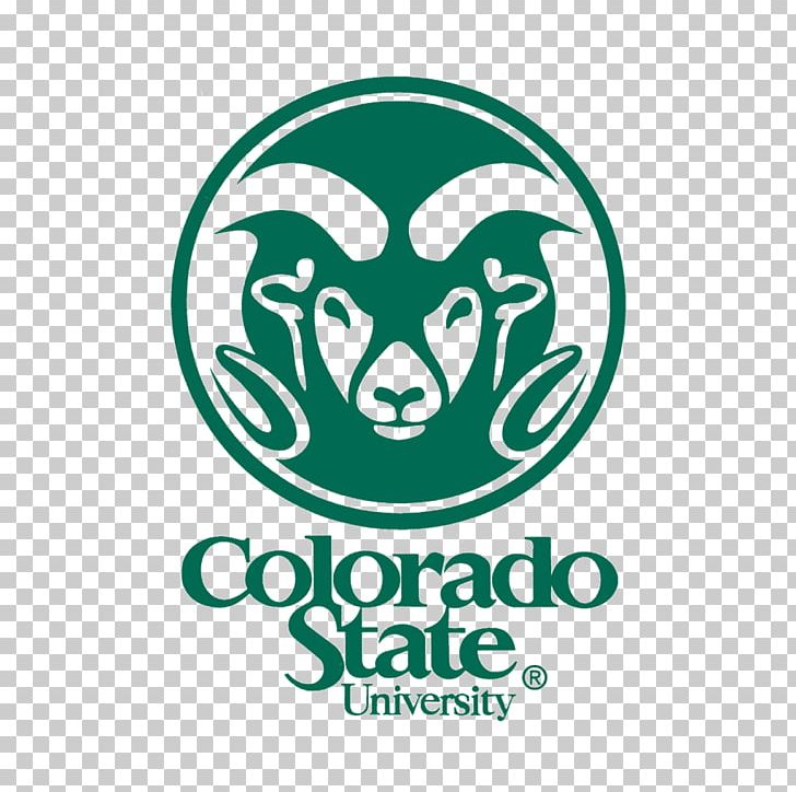 University Of Colorado Boulder Colorado College Willard O. Eddy Hall PNG, Clipart,  Free PNG Download