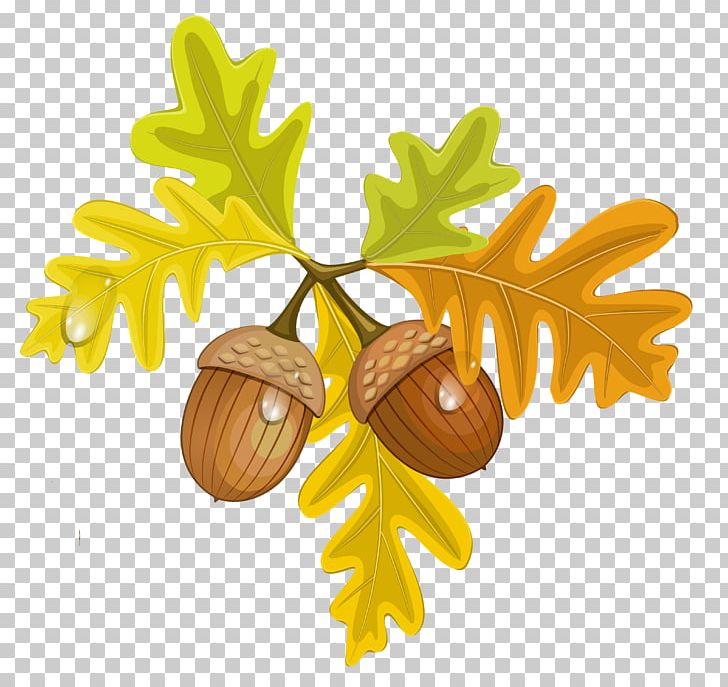 Acorn Autumn Leaf PNG, Clipart, Acorn, Autumn, Autumn Leaf, Autumn Leaf Color, Blog Free PNG Download