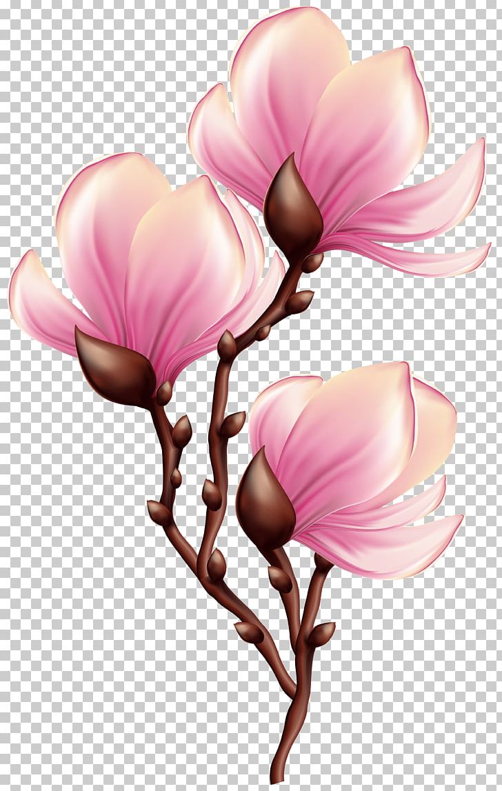 Blossom PNG, Clipart, Beautiful, Blooming, Blossom, Branch, Clipart Free PNG Download