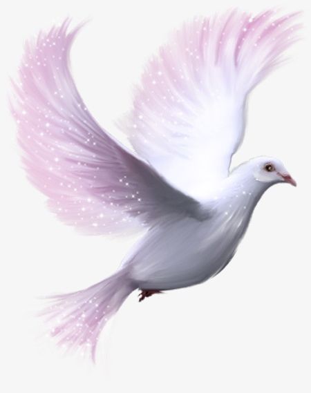 Pigeon PNG, Clipart, Animal, Animal Wing, Beak, Bird, Blue Free PNG Download