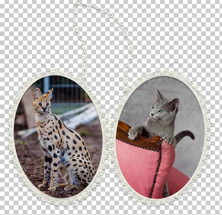 Russian Blue Serval Cat PNG, Clipart, Cat, Fashion, Jewellery, Necklace, Pendant Free PNG Download