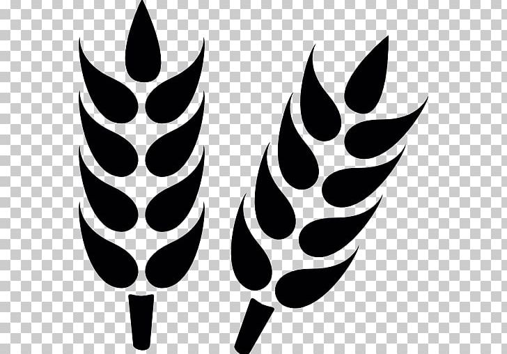 Wheat Computer Icons Cereal Grain PNG, Clipart, Black And White, Cereal, Cereal Grain, Computer Icons, Ear Free PNG Download