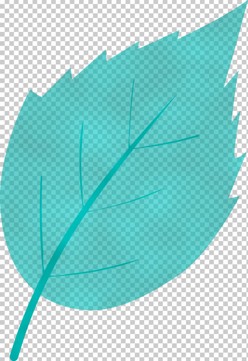 Feather PNG, Clipart, Aqua, Feather, Green, Leaf, Paint Free PNG Download
