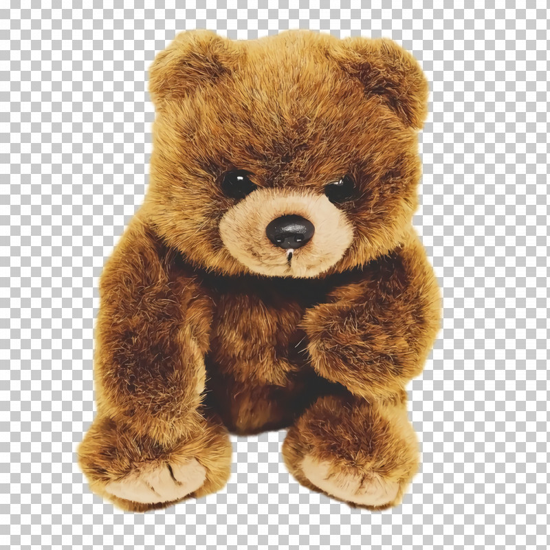 Teddy Bear PNG, Clipart, Bears, Plush, Snout, Stuffed Toy, Teddy Bear Free PNG Download