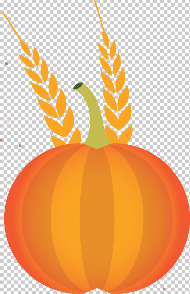 Vegetable Harvest Autumn PNG, Clipart, Apple, Autumn, Calabaza, Commodity, Flower Free PNG Download