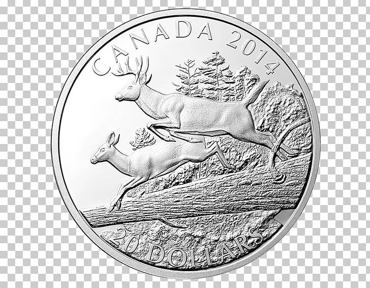 Coin Silver White-tailed Deer Perth Mint PNG, Clipart, Black And White, Bullion, Bullion Coin, Coin, Collectable Free PNG Download