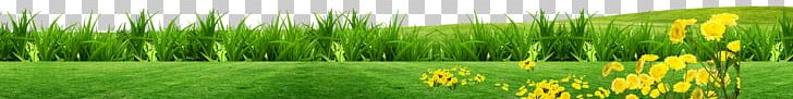 Lawn Grass PNG, Clipart, Artificial Grass, Background, Biome, Bluegrass, Cartoon Grass Free PNG Download