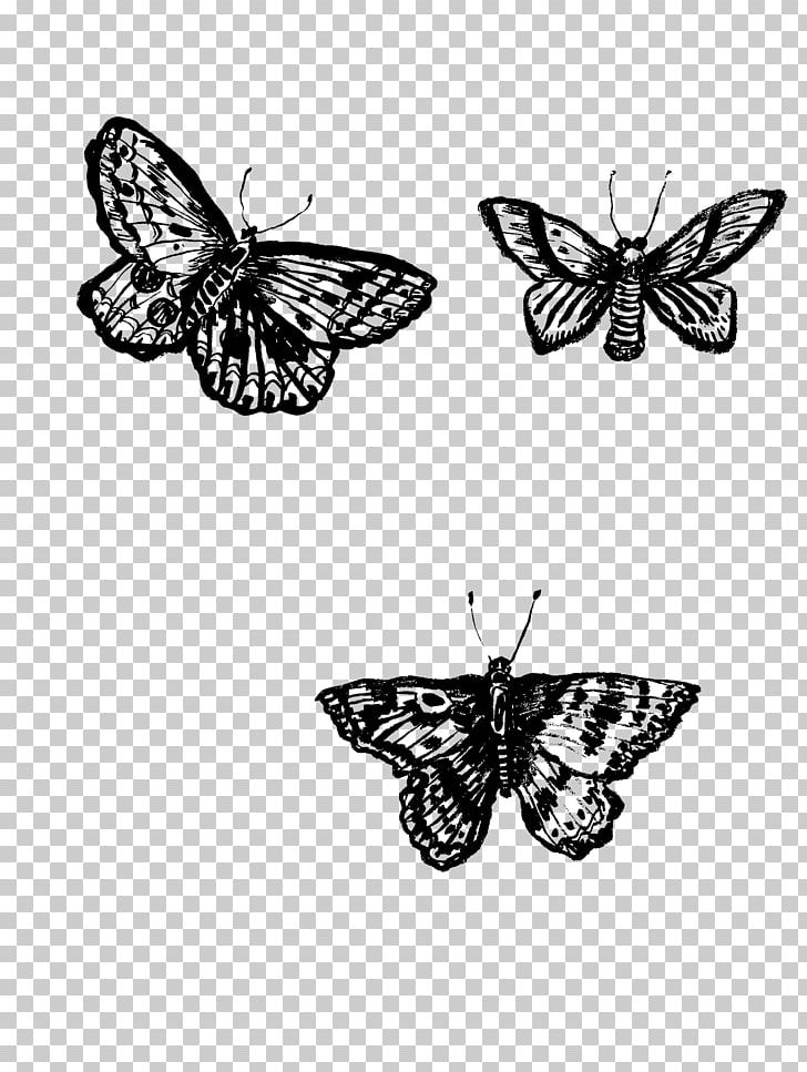 Monarch Butterfly Pieridae Moth Brush-footed Butterflies PNG, Clipart, Arthropod, Black And White, Brassneck Brewery, Brush Footed Butterfly, Butterfly Free PNG Download