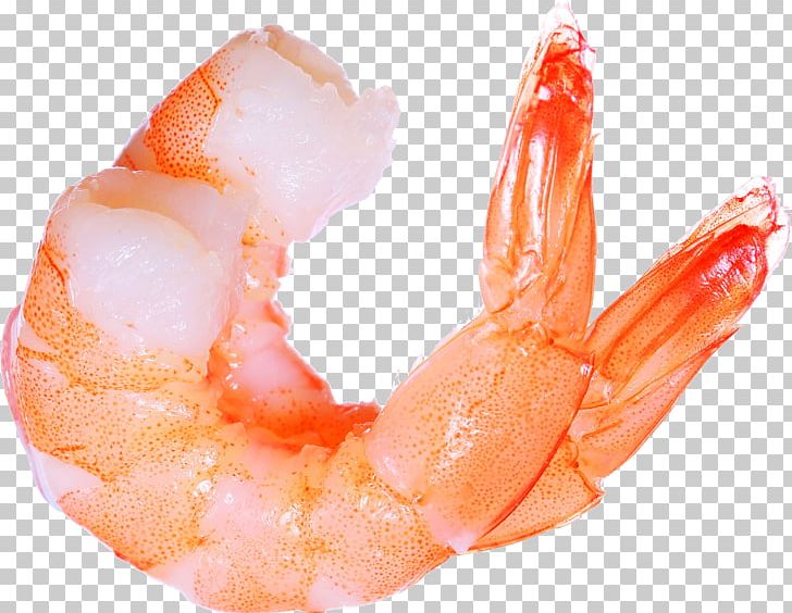 Prawn Cocktail Shrimp Lobster Seafood PNG, Clipart, Animals, Animal Source Foods, Caridean Shrimp, Computer Icons, Decapoda Free PNG Download