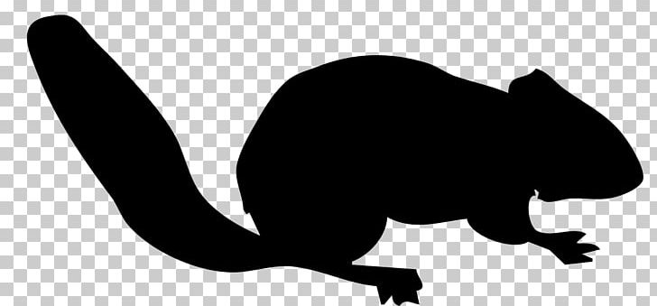 Squirrel PNG, Clipart, Animal, Animals, Art, Black And White, Chipmunk Free PNG Download