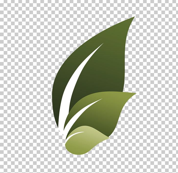 Tidewater Finance Company Leaf New Life VB New Life Presbyterian Church Plant Stem PNG, Clipart, Com, Grass, Green, Investment, Leaf Free PNG Download