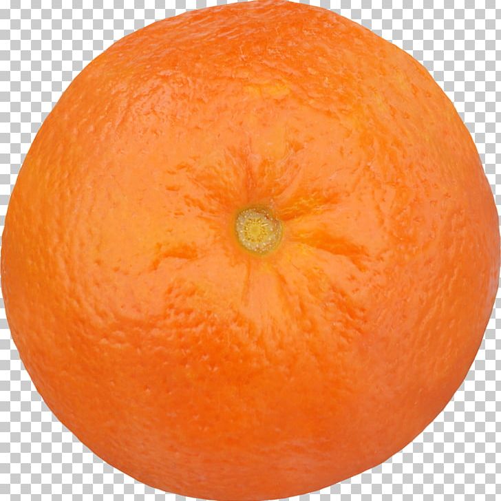 Clementine Mandarin Orange Stock Photography Tangerine Tangelo PNG, Clipart, Calabaza, Citric Acid, Citrus, Citrus Xd7 Sinensis, Clementine Free PNG Download
