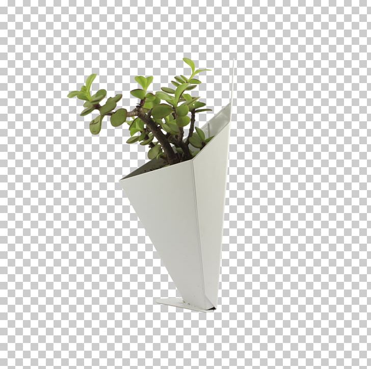 Flowerpot Wall Houseplant PNG, Clipart, Electrostatics, Flowerpot, Green Wall, Herb, Houseplant Free PNG Download