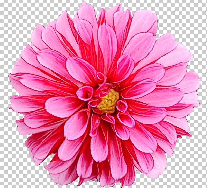 Floral Design PNG, Clipart, Art Museum, Document, Floral Design, Flower, Paint Free PNG Download