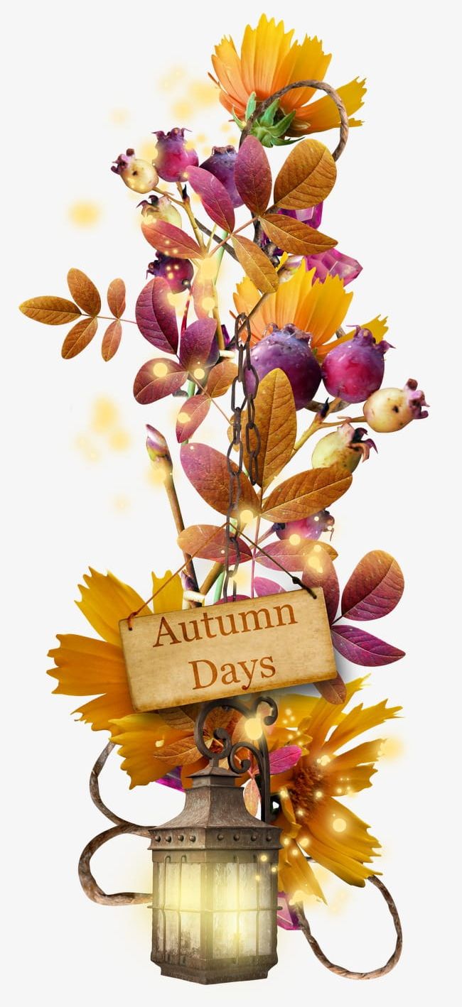 Autumn Flowers Fruit PNG, Clipart, Autumn, Autumn Clipart, Autumn Flowers, Decorative, Decorative Flowers Free PNG Download