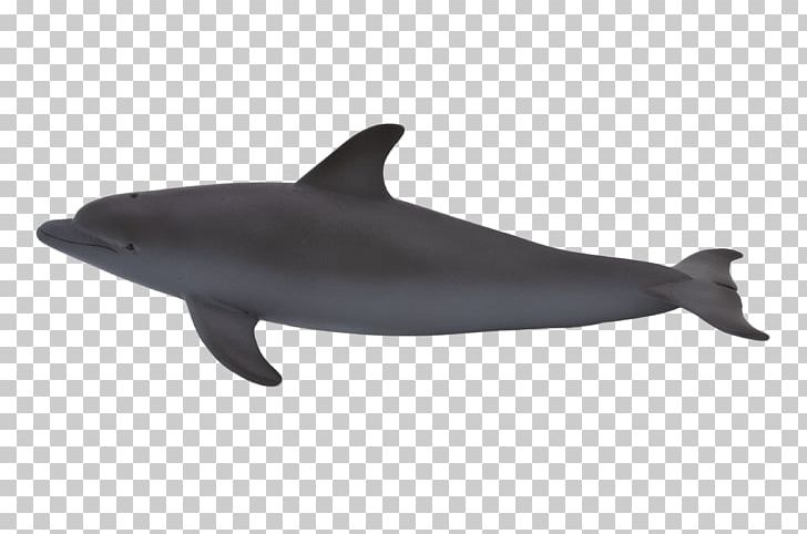 Common Bottlenose Dolphin Animal Humpback Whale Model Figure PNG, Clipart, Animal, Animal Planet, Animals, Bottlenose Dolphin, Fauna Free PNG Download