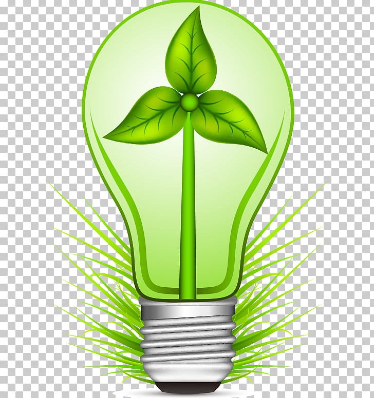 Environmental Protection Drawing Adobe Illustrator PNG, Clipart, Alternative Medicine, Bulb, Christmas Lights, Download, Encapsulated Postscript Free PNG Download