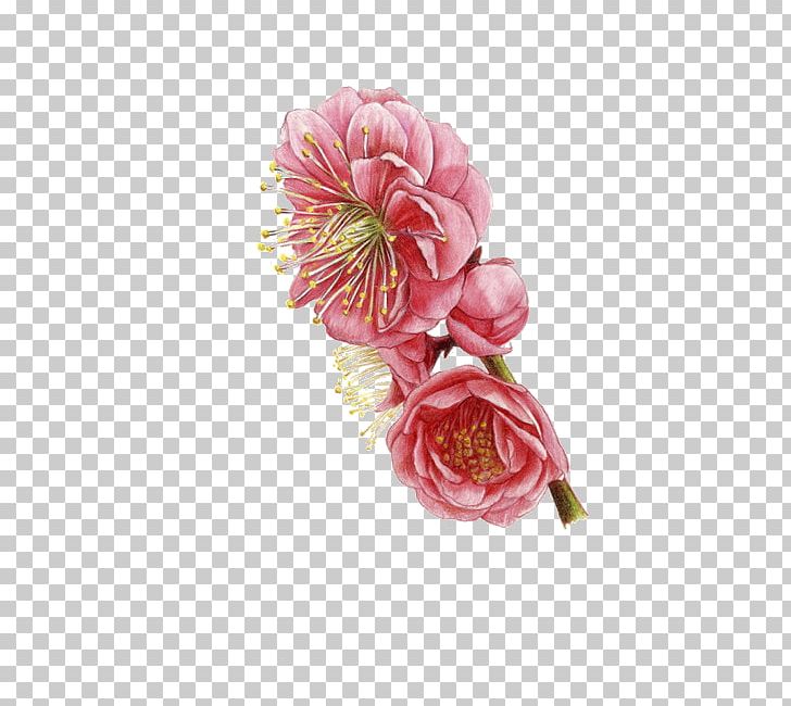 Flower PNG, Clipart, Artificial Flower, Chart, Download, Euclidean Vector, Floral Design Free PNG Download