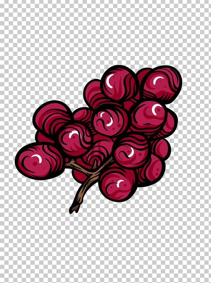 Grape Fruit Auglis PNG, Clipart, Abstract Lines, Apple Fruit, Auglis, Circle, Curved Lines Free PNG Download