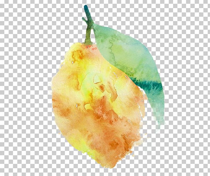 Pear PNG, Clipart, Food, Fruit, Fruit Nut, Pear, Watercolour Free PNG Download