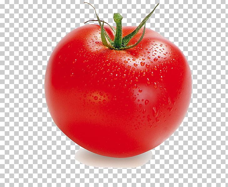 Tomato PNG, Clipart, Apple, Bbcode, Beans, Bush Tomato, Cartoon Free PNG Download