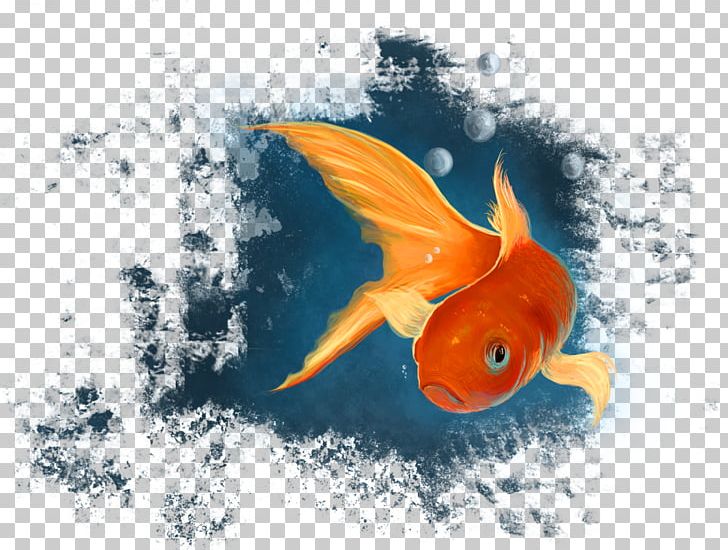 Goldfish Koi Desktop Marine Biology PNG, Clipart, 2 D, Artist, Biology, Bony Fish, C J Free PNG Download