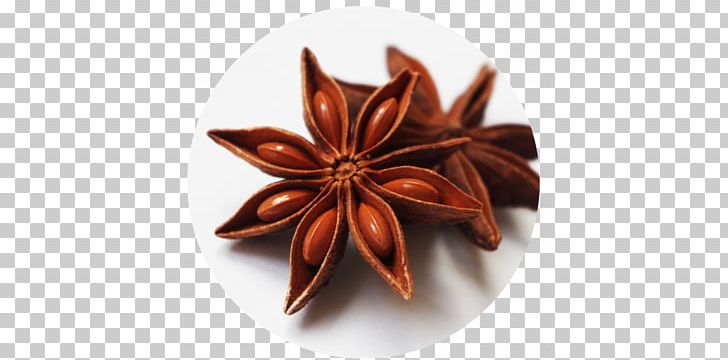 Masala Chai Star Anise Spice Thai Tea PNG, Clipart, Anethole, Anise, Flavor, Food, Fruit Free PNG Download