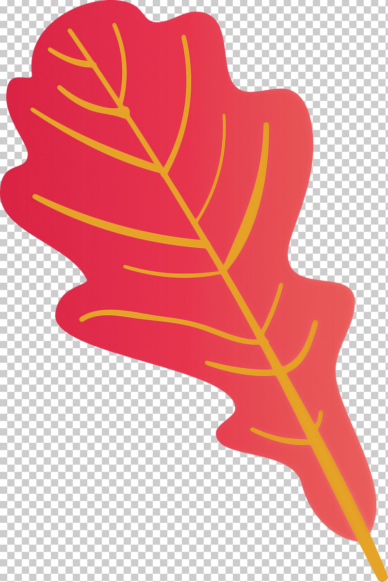 Autumn Leaf Colourful Foliage Colorful Leaves PNG, Clipart, Autumn, Autumn Leaf, Autumn Leaf Color, Biology, Color Free PNG Download