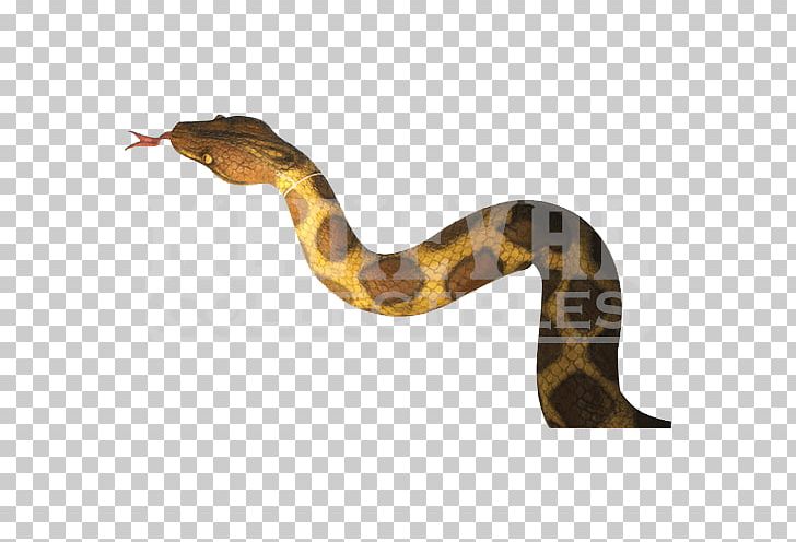 Boa Constrictor Rattlesnake Terrestrial Animal PNG, Clipart, Animal, Animals, Boa Constrictor, Boas, Guarantee Free PNG Download