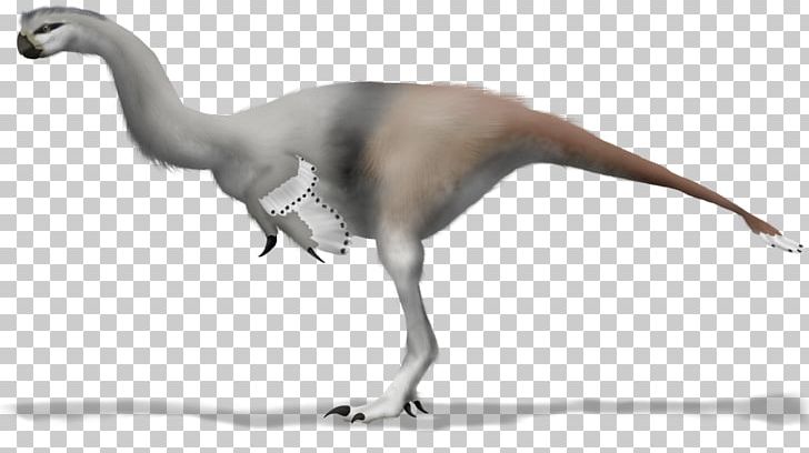 Javan Rhinoceros Zoo Tycoon 2 Velociraptor Baird's Tapir Gigantoraptor PNG, Clipart,  Free PNG Download