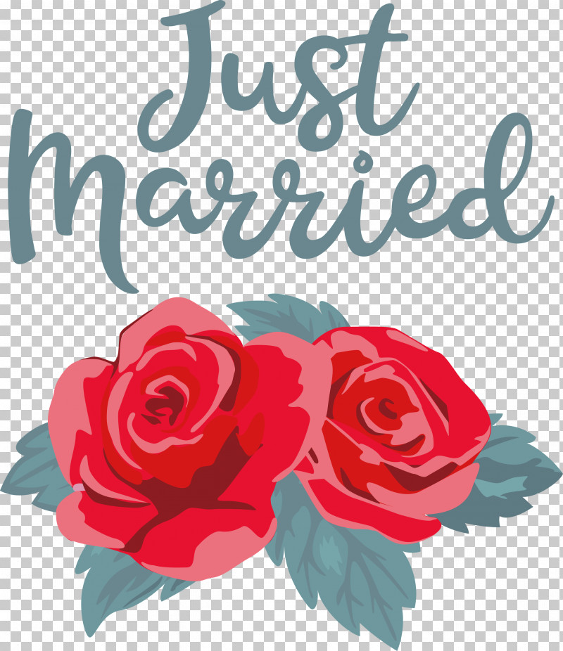 Just Married Wedding PNG, Clipart, Cut Flowers, Floral Design, Flower, Garden, Garden Roses Free PNG Download