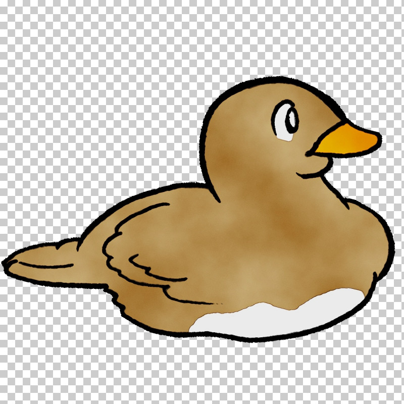 Duck Ducks Waterfowl Beak Swans PNG, Clipart, Beak, Duck, Ducks, Grey Geese, Paint Free PNG Download